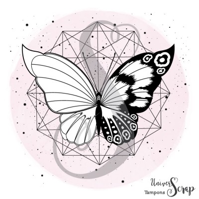 Tampon Héxagone & Papillon