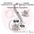 Dies Modulo Fleurs du &