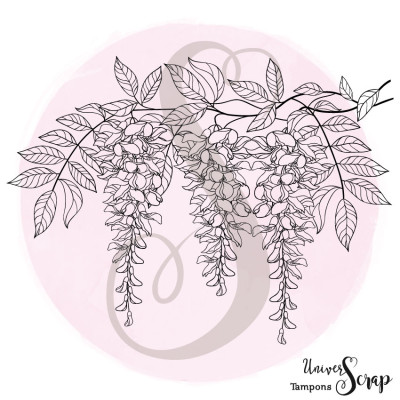 Tampon Glycine en fleur