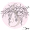 Tampon Glycine en fleur