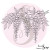 Tampon Glycine en fleur