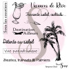 Tampons Clear "Sous Les Cocotiers"