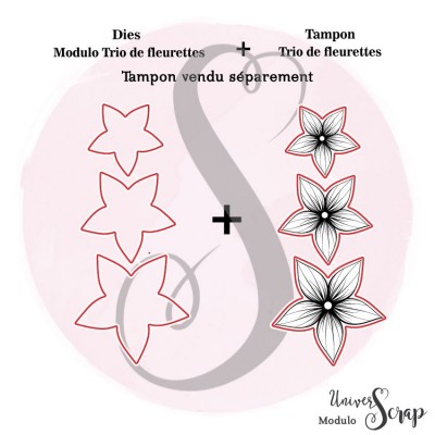 Dies Modulo trio de fleurettes
