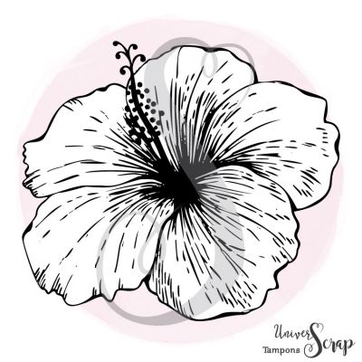 Tampon Hibiscus
