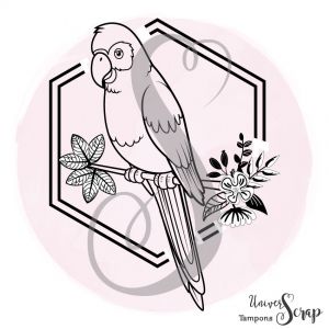 Tampon Perroquet