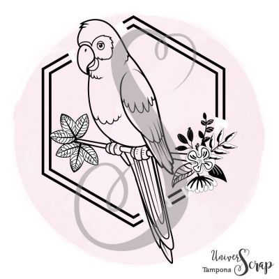 Tampon Perroquet