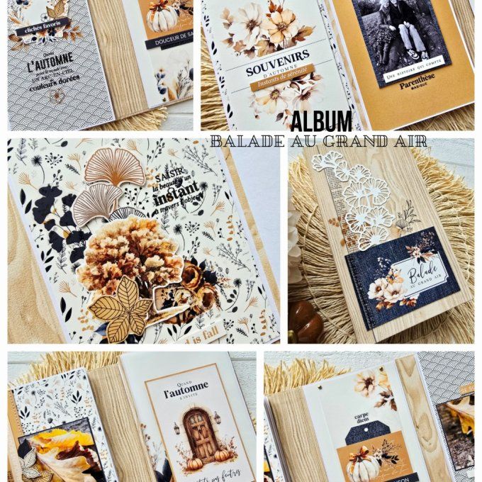 Album BALADE AU GRAND AIR
