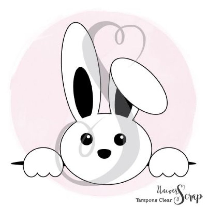 1 Tampon Clear Lapin