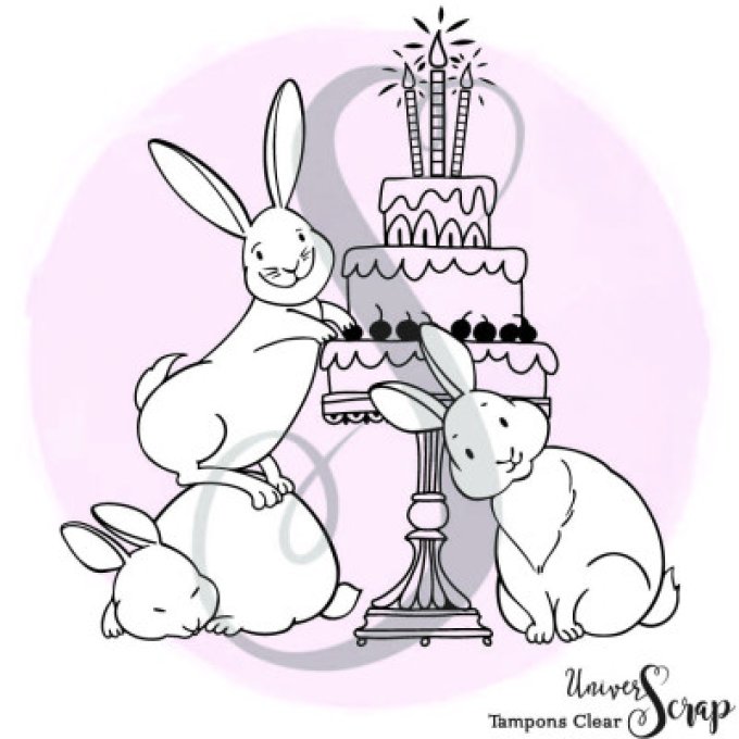 2 Tampons Clears "C'est ton anniversaire"