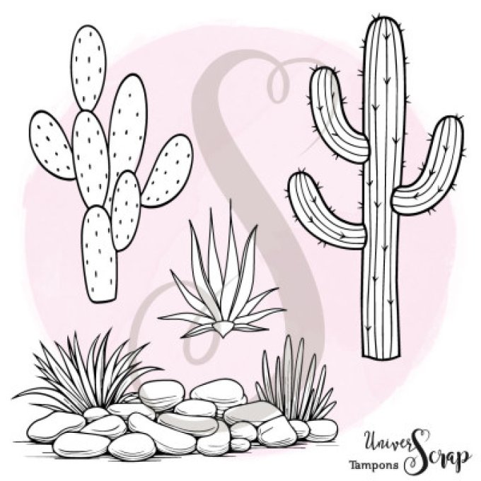 4 Tampons Entre Pierres et Epines