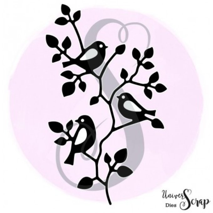 Dies 3 petits oiseaux sur une branche
