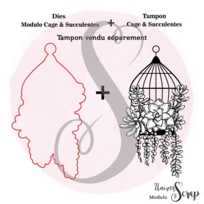 Dies Modulo Cage & Succulentes