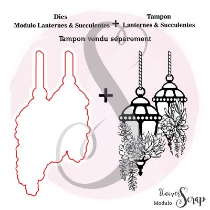 Dies Modulo Lanternes & Succulentes