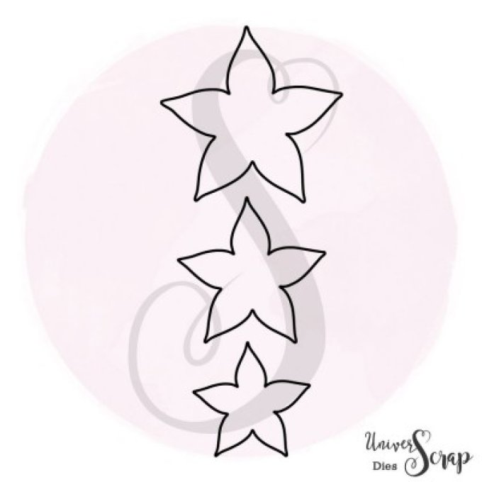 Dies Modulo trio de fleurettes