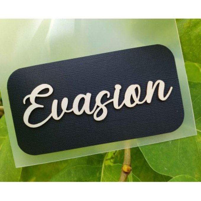 Evasion