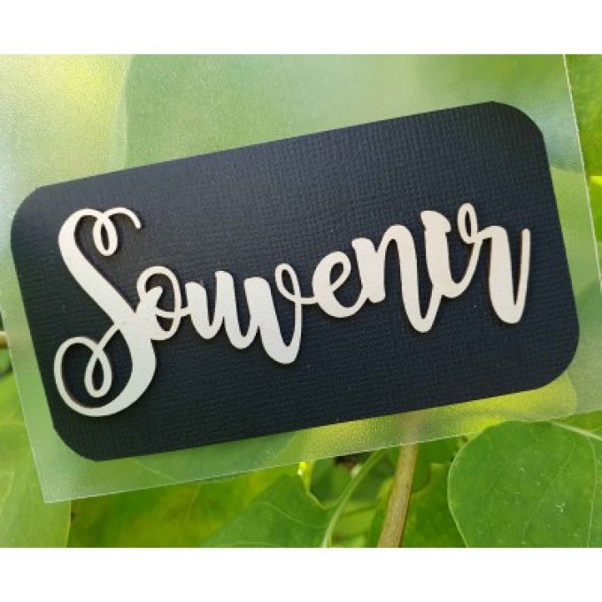 Souvenir