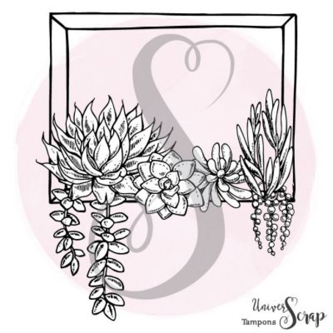 Tampon Cadre rectangle & succulentes
