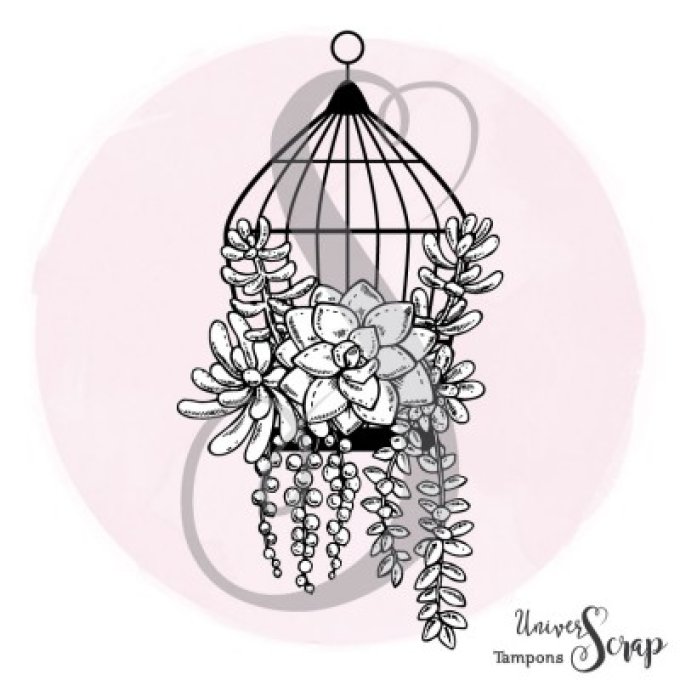 Tampon Cage & Succulentes