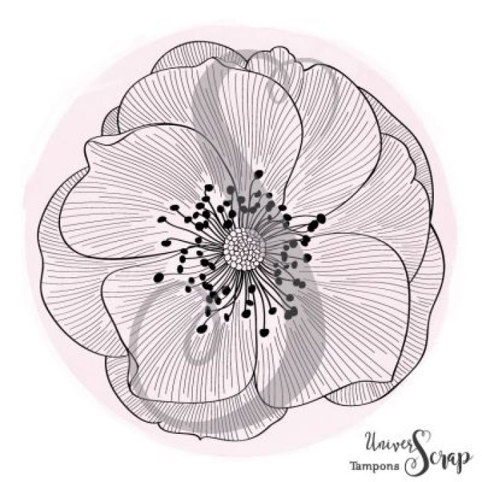 Tampon Coquelicot