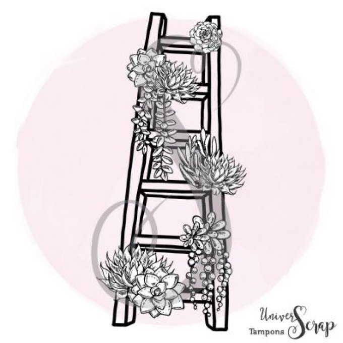 Tampon Echelle & Succulentes