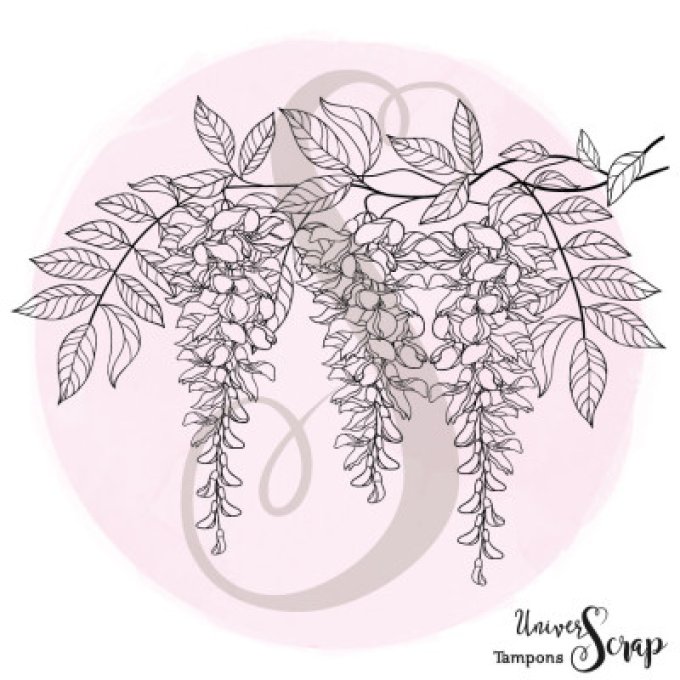Tampon Glycine en fleur