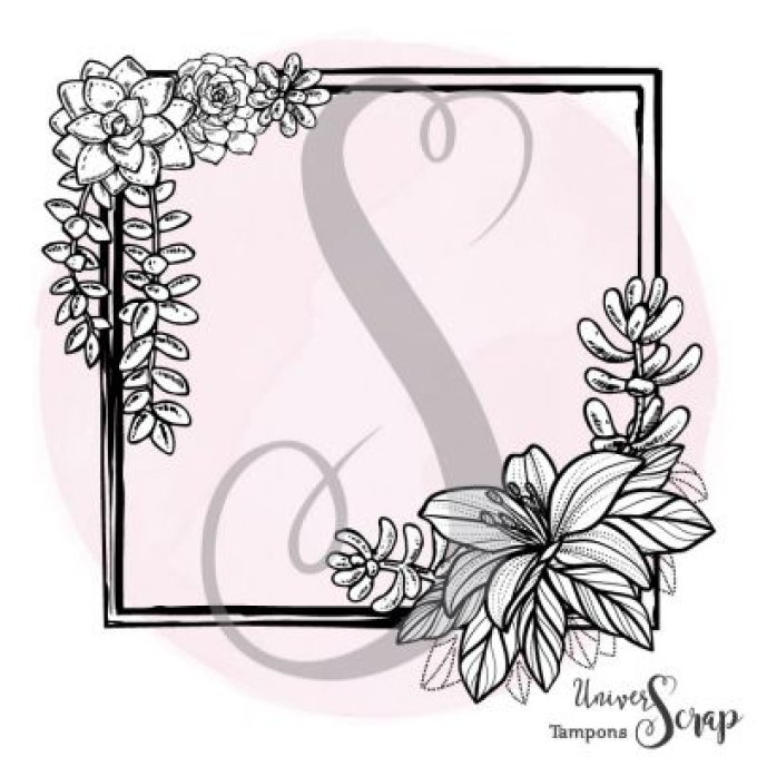 Tampon Grand cadre & Succulentes