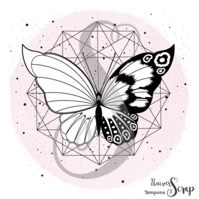 Tampon Héxagone & Papillon