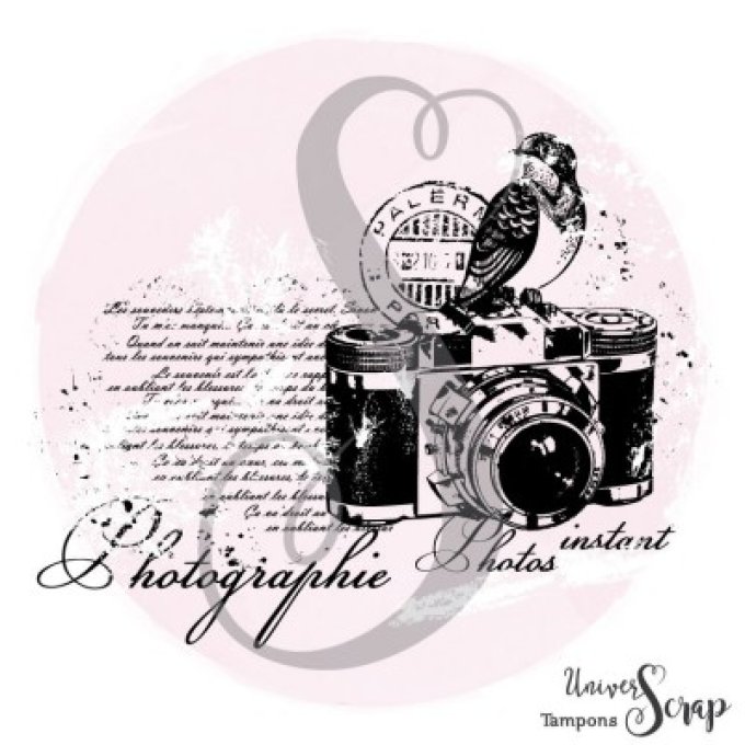 Tampon Oiseau & photographie