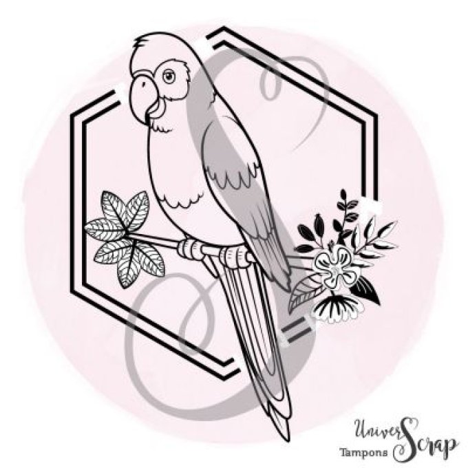 Tampon Perroquet