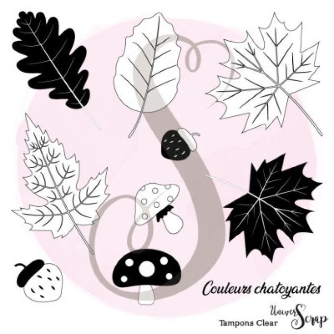 Tampons Clear "Couleurs Chatoyantes"
