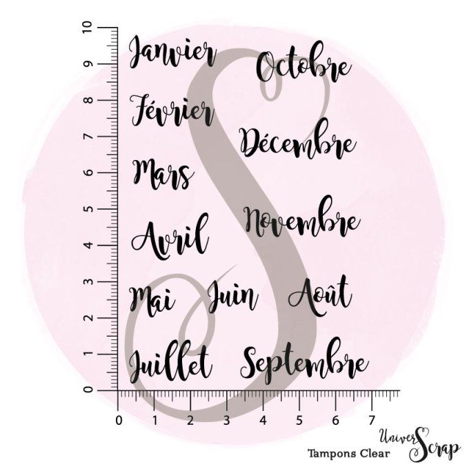 12 Tampons Clear Mois