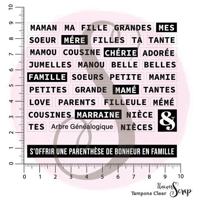 Tampons Clear "Petits Mots au Féminin"