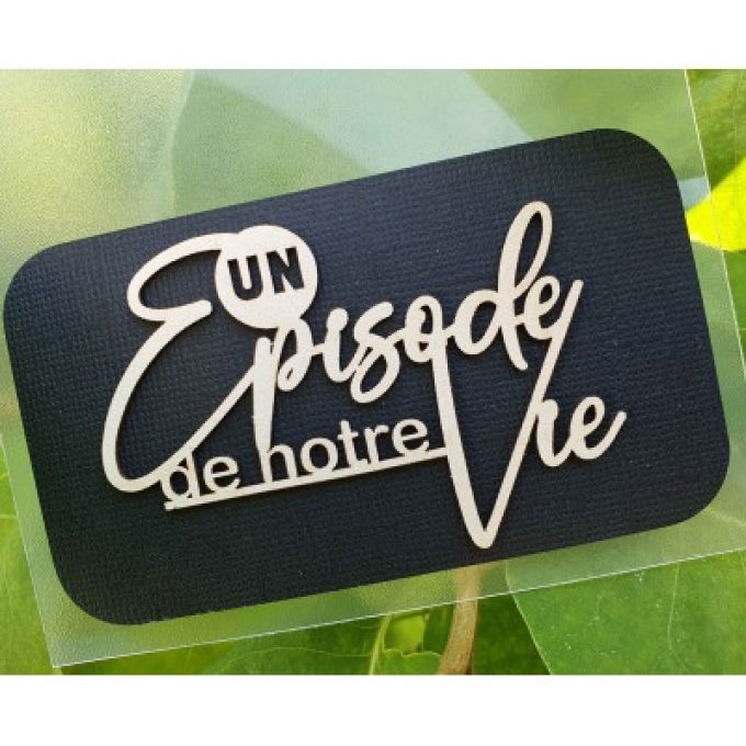 Un Episode de notre Vie